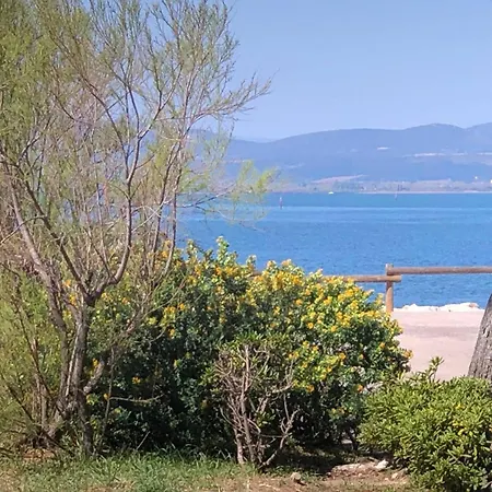 T2, 4 Couchages, Terrasse, Jardinet, Parking, Proche Commerces Et Plage, - Fr-1-81-298