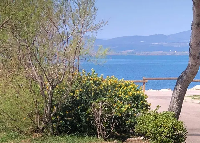 T2, 4 Couchages, Terrasse, Jardinet, Parking, Proche Commerces Et Plage, - Fr-1-81-298